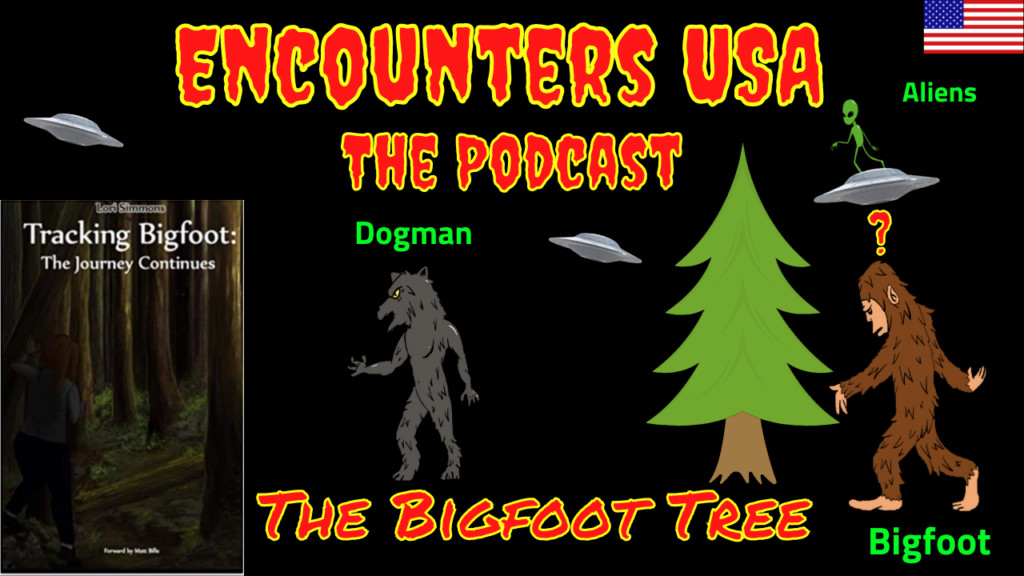 Bigfoot Tree Updates Are They Really Just Cold Feet & Old Info SM